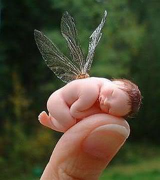 tiny fairy baby