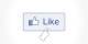 Facebook Like Button