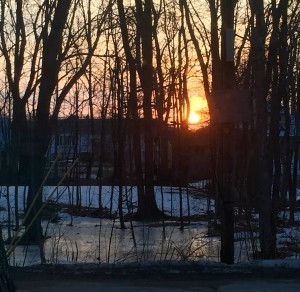 Have I ever seen a sunset I didn't like? Do you have to ask? A million photos of them taken from my front steps.