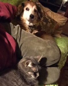 I may get a variety of vibes from other people, but my kitty and doggie always make me feel good.