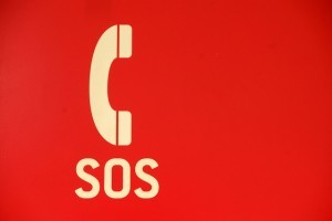 sos-1309803-639x424