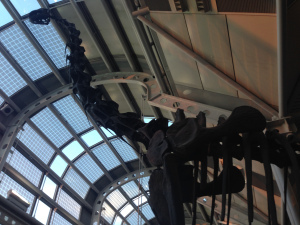 Dinosaur in Chicago airport