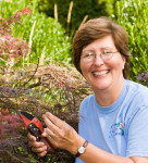 Carol Chernega