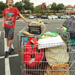 grocery cart