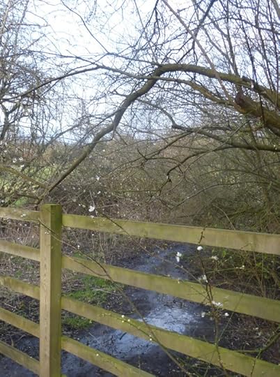 P1160064 crop 2.jpg