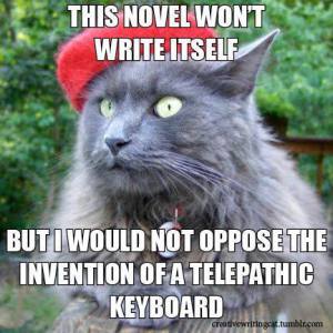 Cat writer