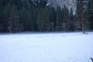 snow meadow Yosemite