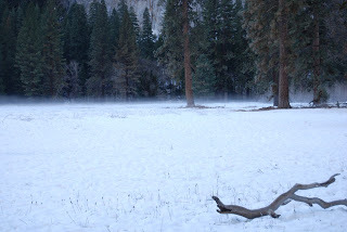 snow meadow yosemite