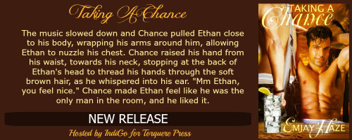 Taking a Chance Banner v2