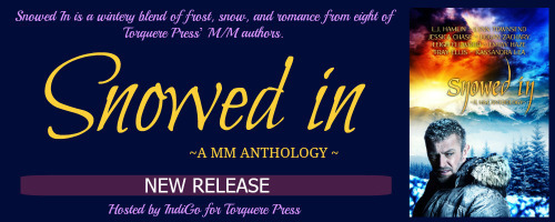 Snowed In MM Banner v2