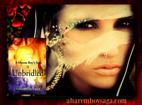 Veil1a-UNBRIDLED-small