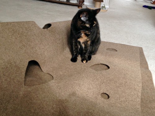 Ripple-Rug