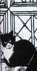 cat