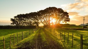 countryside-1149680_1280