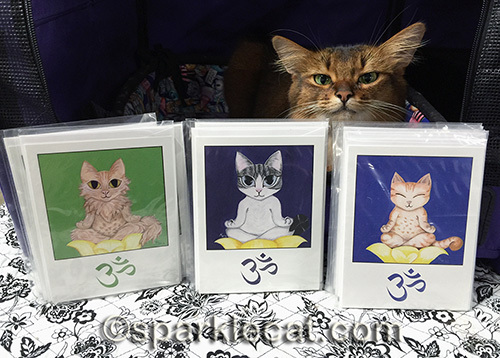 Somali cat posing with cat greeting cards