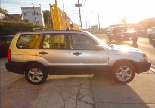 Extra picture to break up the layout and give your eyes a break from scanning the page