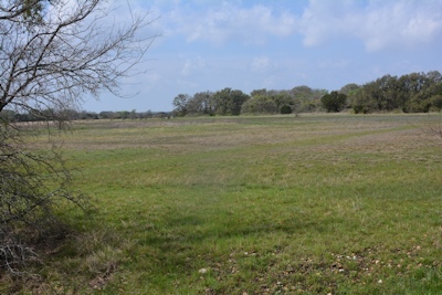 After-the-storm-3-08-2-16