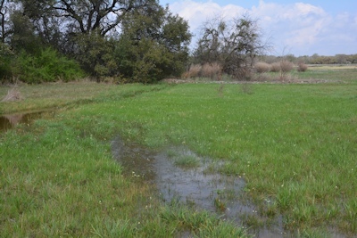 Below-#3-gabion-3-08-16