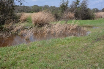Above-#3-gabion-3-08-2016