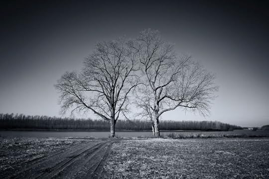 two-trees