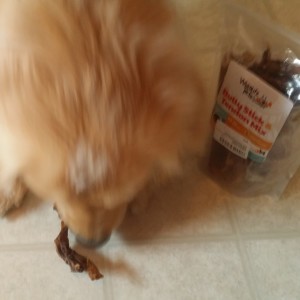 Jemma enjoys a Wyld Life Pets chew.