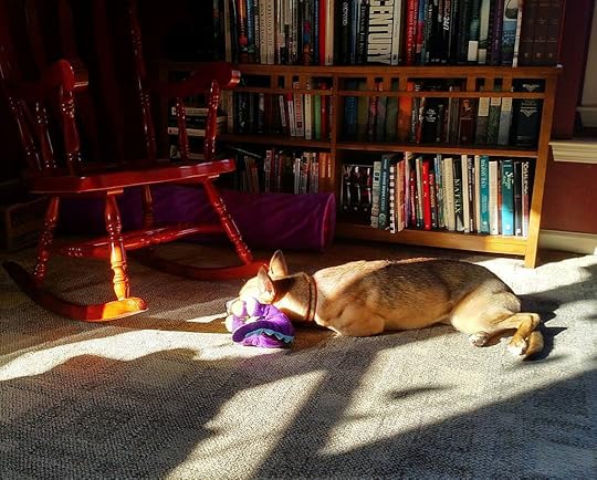 Nadia Loves Sunbeams