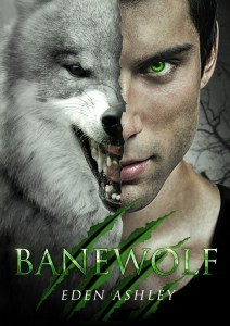 MediaKit_BookCover_Banewolf