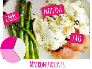 macronutrients