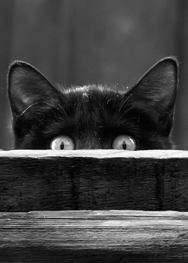  photo 7FDC35E1-7BEF-4A3F-9C4D-752C844E2896.jpg