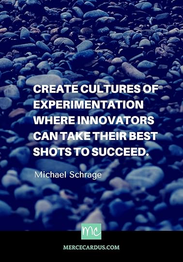 Michael Schrage on innovation
