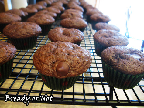 Bready or Not: Baileys Irish Coffee Creamer Chocolate Mini Muffins