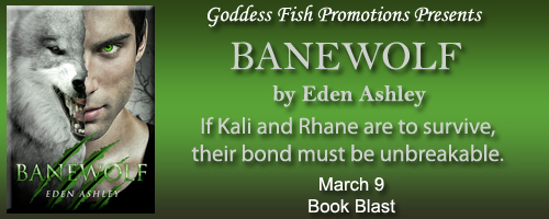 BB_Banewolf_Banner copy (2)