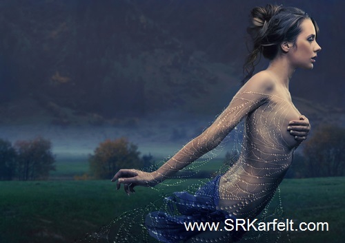 Rome, Italy, S.R. Karfelt, Author, Spider