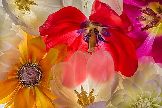 Floral Lecture © Harold Davis