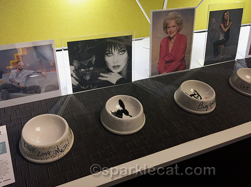 celebrity decorated cat bowls