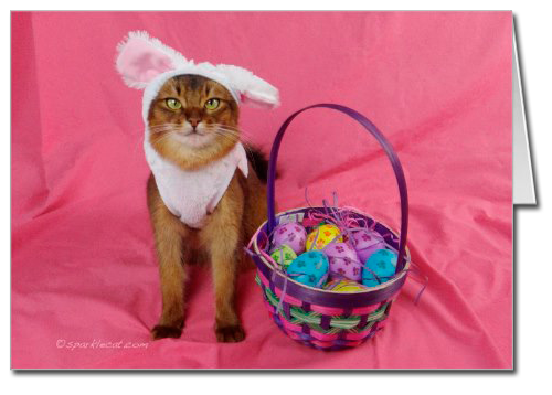 Hoppy Easter Kitty Card