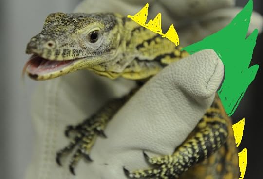 komodo-dragon-dangerous-babies-570x390