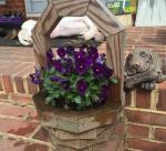 887247_10156569316195104_1253797704151458200_o