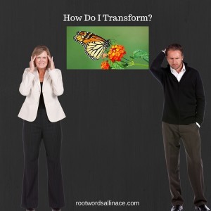 How Do I Transform