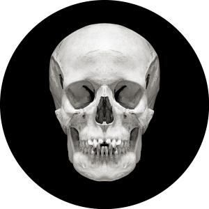 orr_pv-2_francisca_seycora_19