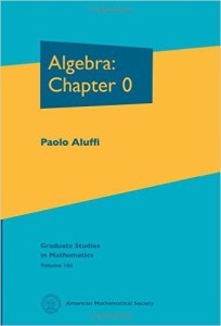 Aluffi algebra