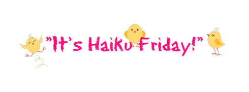 Haiku Friday-The Writer Next Door