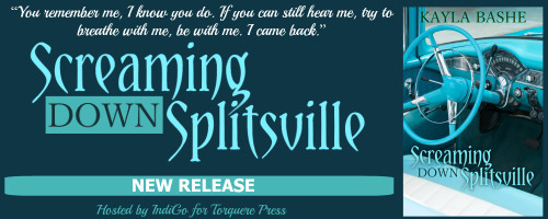 Screaming Down Splitsville Banner v2