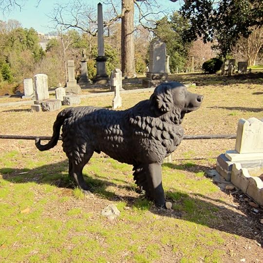 rich dog web