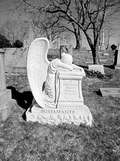 rich bw angel web