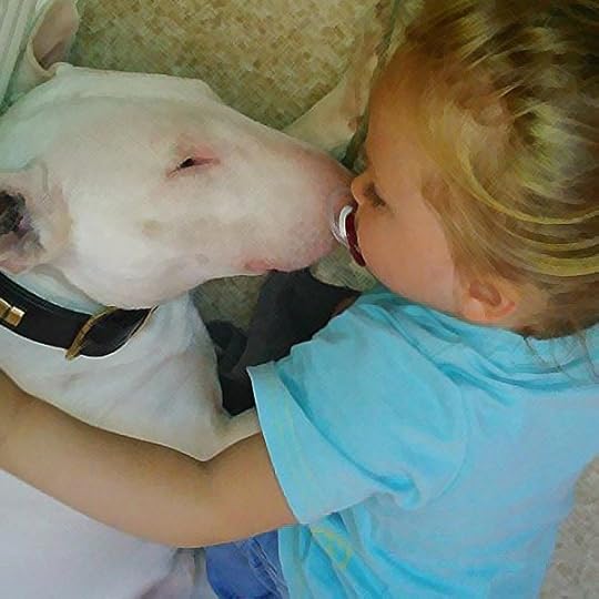 bull terriers and children