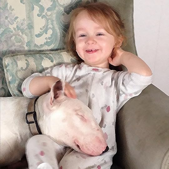 Bull Terrier puppy cute