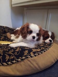 Jos12Wks2