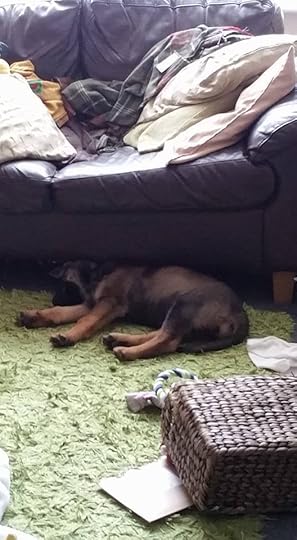 12795425_10153938459286054_4453020648187380214_n