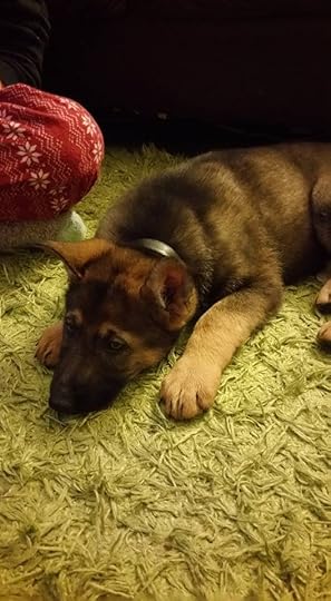 12705625_10153931293176054_8393062673305401556_n